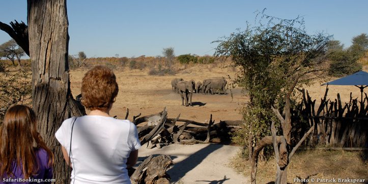10 Considerations for Families Going on Safari