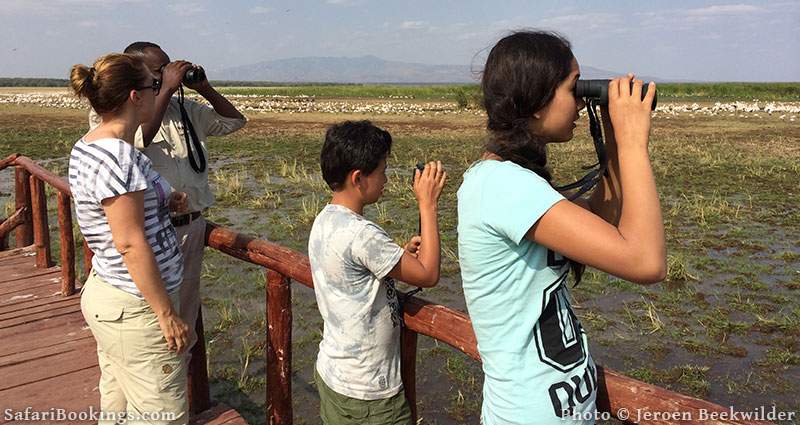 Family watching pelicans at Lake Manyara, Tanzania