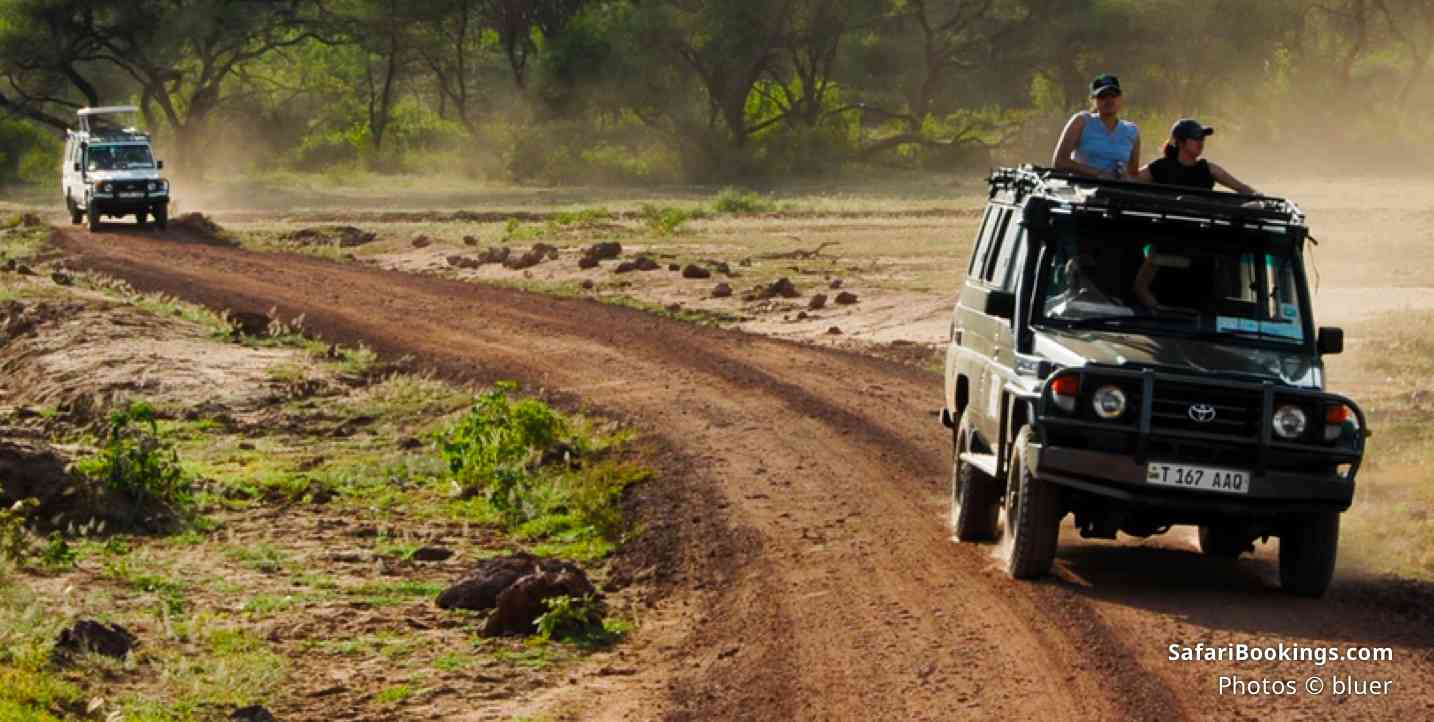 10 insights what to expect on safari - up to 4 hour game drive