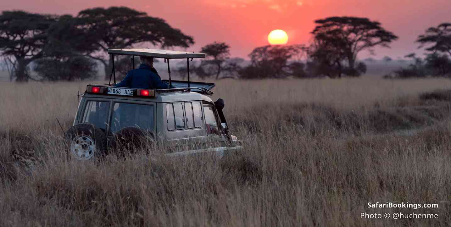 No Safari Is Complete Without a Night Game Drive—Here Are 10 of