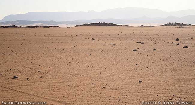 Stuck in the Sahara