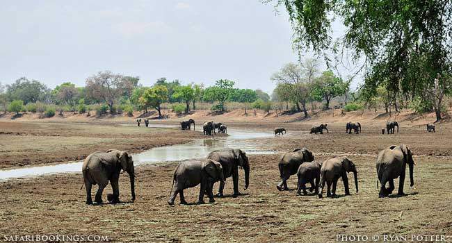 Microlight over South Luangwa