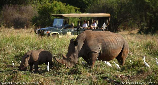 Elsa’s Kopje: the place of lions and light footprints