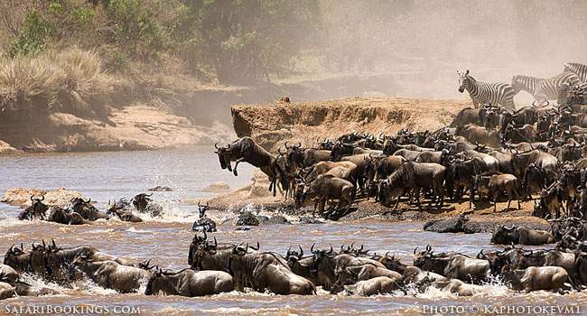 Serengeti Voted the Best Safari Park of Africa of 2015