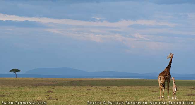 10 Reasons to Use an Africa Travel Specialist