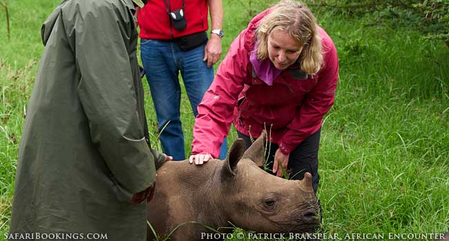 10 Things NOT to Expect on Safari