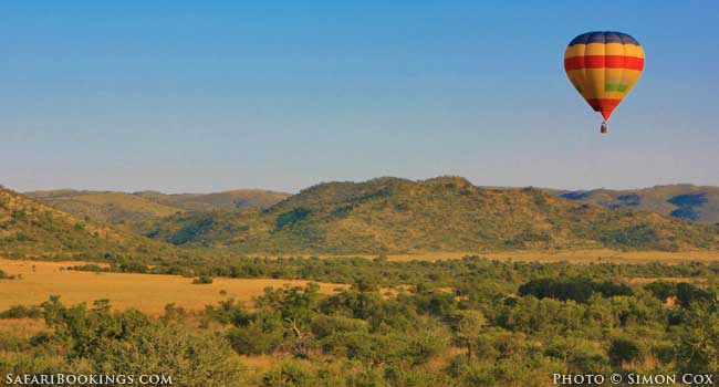5 Best Family-friendly Safaris in South Africa