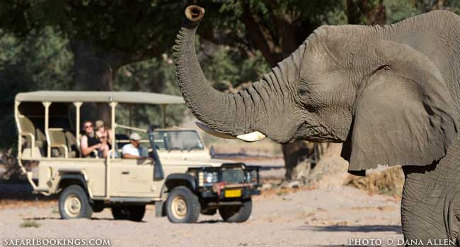 The ‘Green’ Oasis of Damaraland Camp Dominates In The Desert