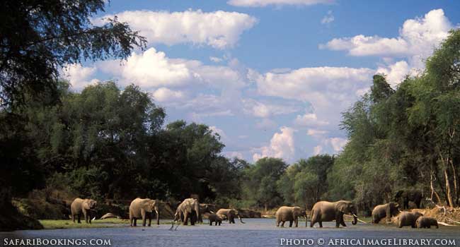 Storm on the Zambezi!