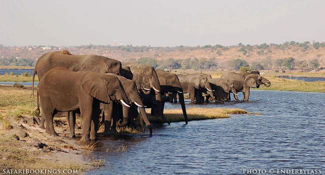 Safari Secret: Caprivi Strip in Namibia