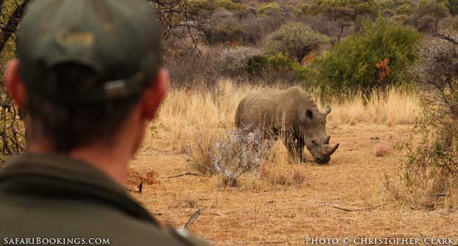 Wildlife Encounters: The Good, the Bad and the Ugly