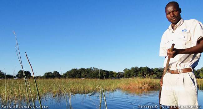 10 (or more) Ways to Help Your Guide (and Yourself) on Safari