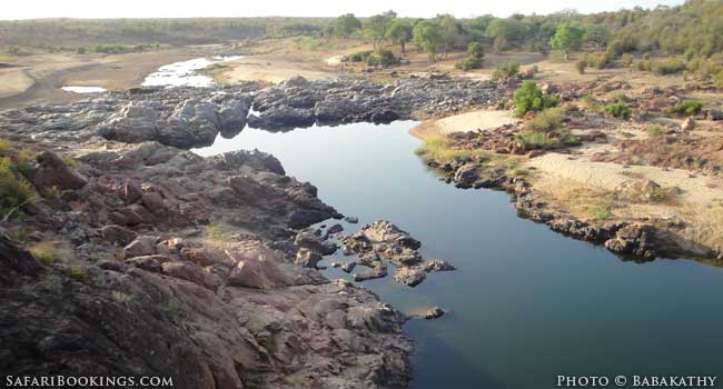 Great Limpopo Transfrontier Park’s Hidden Gem: Gonarezhou