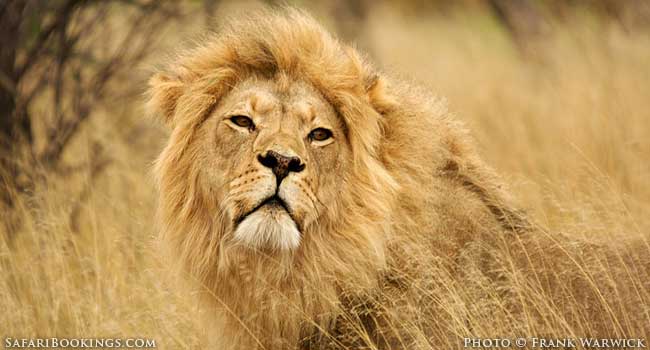 Why Responsible Tourism Matters?
