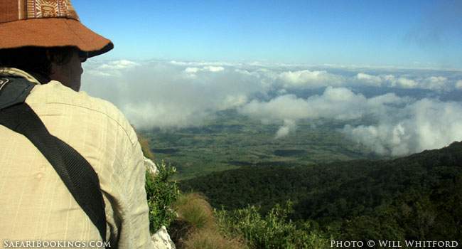 Mozambique: Gorongosa ’s Cool Science