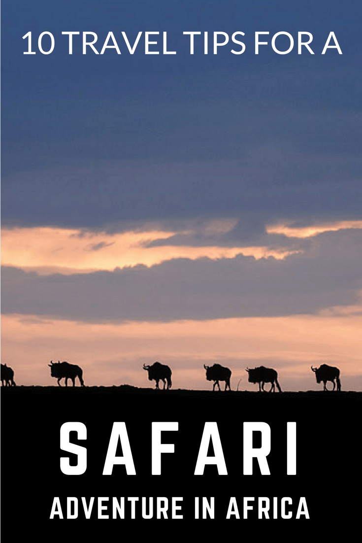 Here are a few general travel tips that you might want to keep in mind when going on safari. Check them out at https://www.safaribookings.com/blog/266