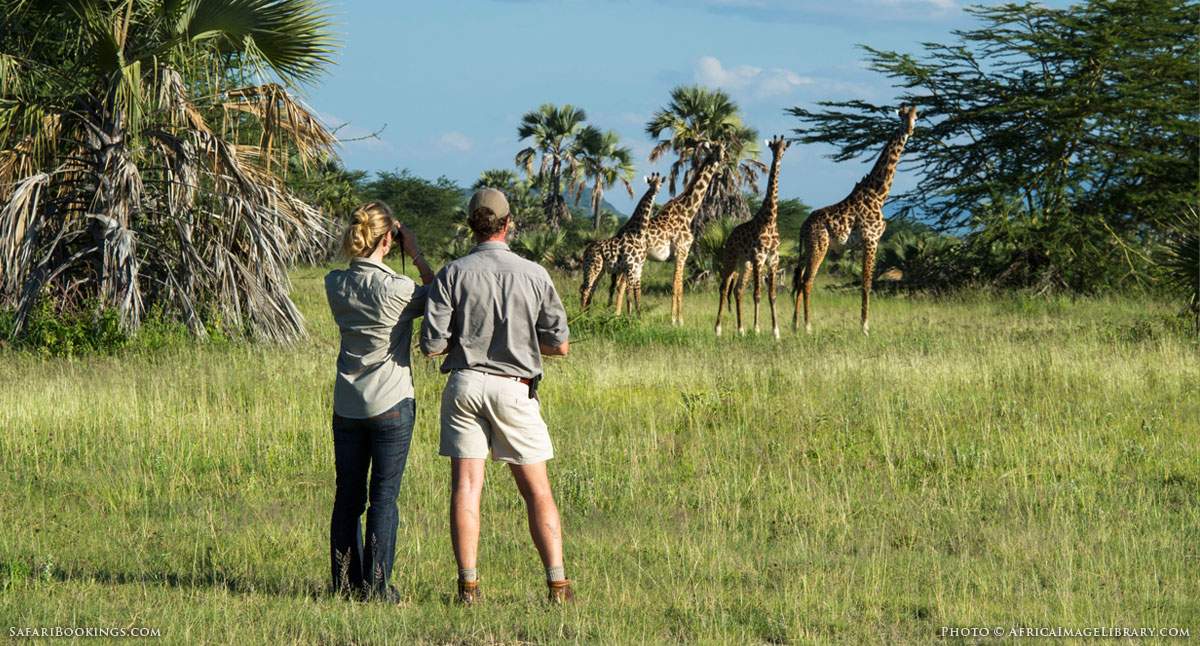 Watching Wildlife on an African Walking Safari