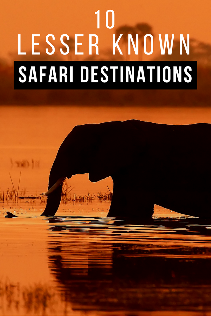 Here's a list of safari destinations which, whilst less well known, are still accessible for the overseas visitor and have suitable accommodation options available. Each destination has, for one reason or another, not yet ‘made it’ onto to the regular tourist routes, so if you want to travel off-the-beaten-path in Africa, check out this unconventional list!