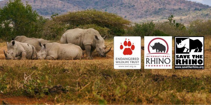 SafariBookings’ 3 Contenders in the Rhino Donation Campaign
