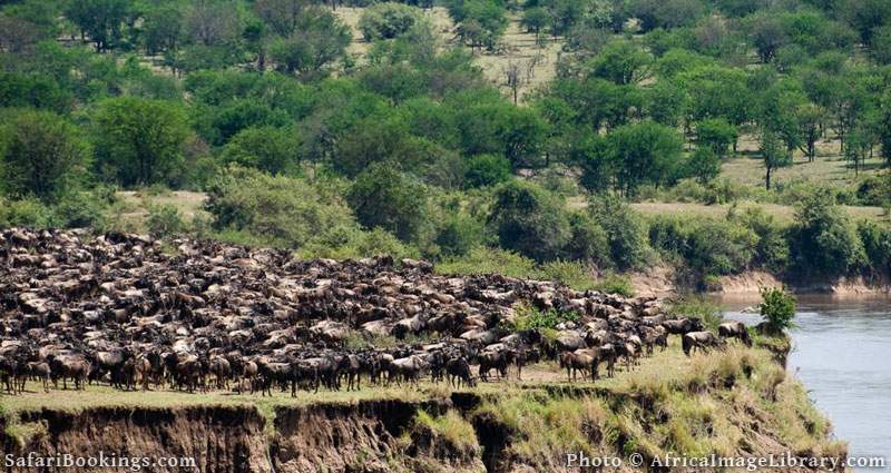 Best Places To Visit In Africa - Serengeti National Park