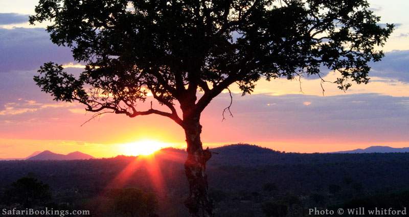 Sunset at Ruaha National Park