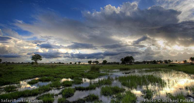 10 Okavango Delta Facts You Didn T Know About Safaribookings