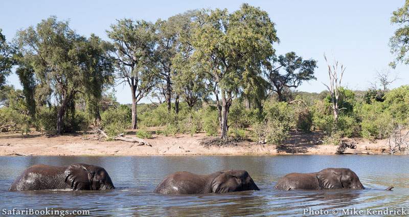 Where to See Elephants in Africa - 5. South Luangwa National Park in Zambia