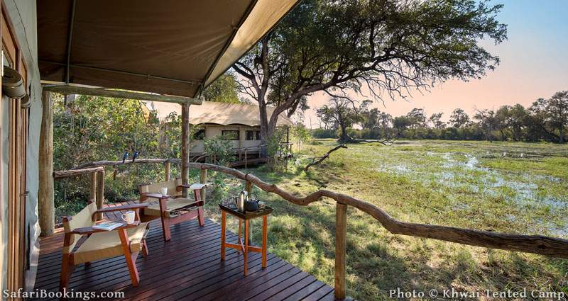 Top 10 Best Botswana Luxury Safari Camps & Lodges