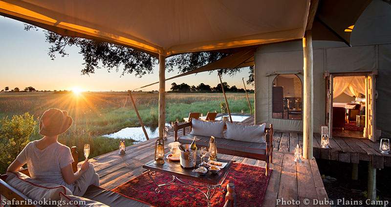 Duba Plains Camp is one of the Best Botswana Safari Camps