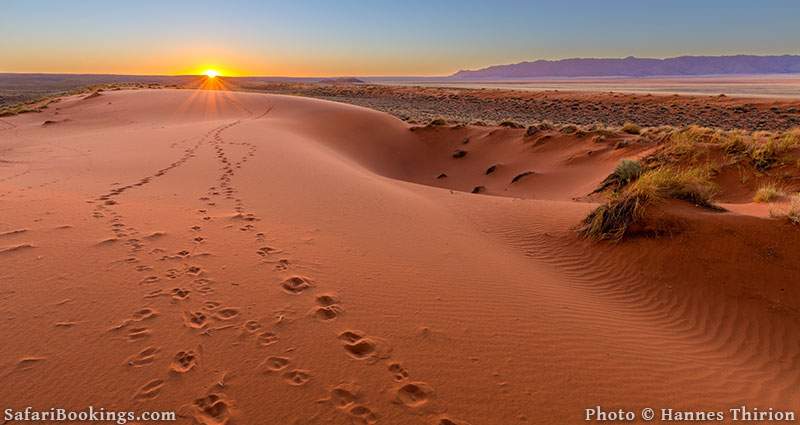 Kalahari Desert Kalahari Desert