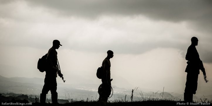 Bloodhounds Help in the Fight Against Poaching