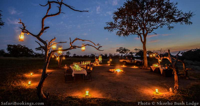 Nkorho Bush Lodge