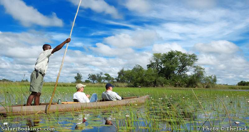 Mokoro through the Okavango Delta