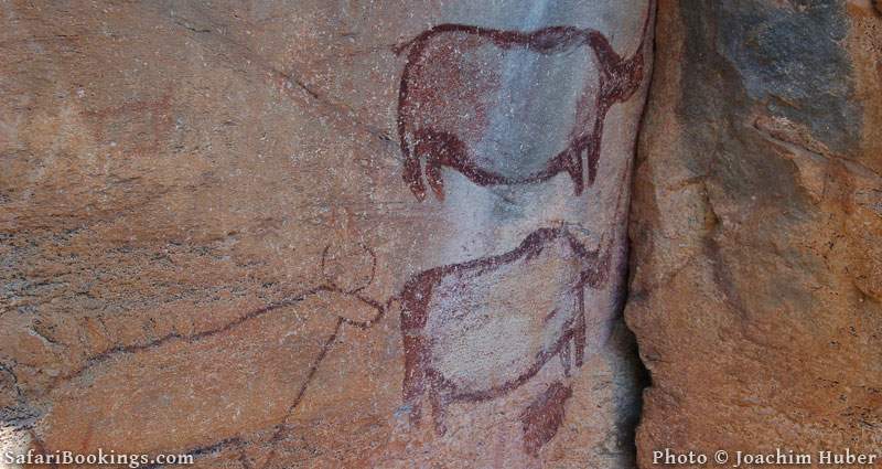 Discover ancient rock art