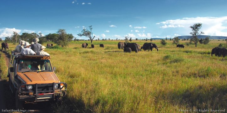 Top 10 Best African Safari Parks and Destinations of 2018