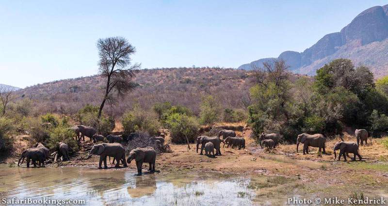 Marakele National Park - One of the best malaria free game reserves in South Africa