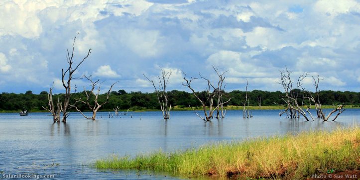 Top 6 Best Safari Lodges and Camps near the Zambezi River