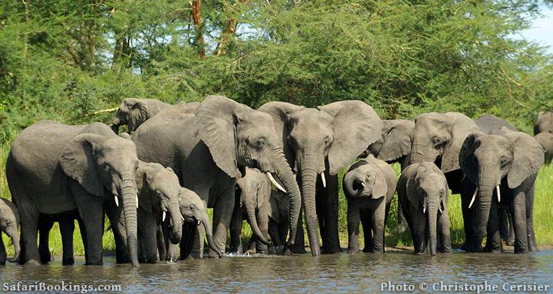 Sustainable African Safari Park Liwonde