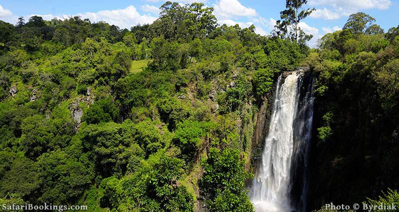 Aberdare National Park