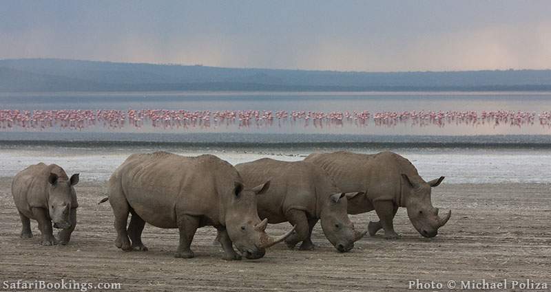 Lake Nakuru National Park