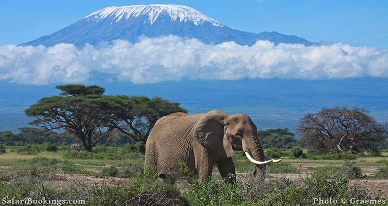 Amboseli National Park