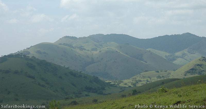 Chyulu Hills National Park