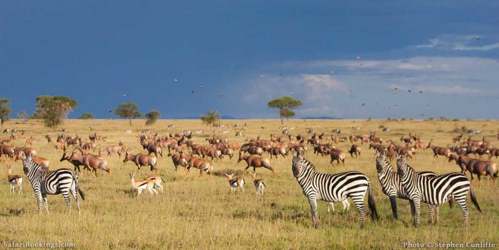 Top 10 Best Tourist Attractions in Tanzania