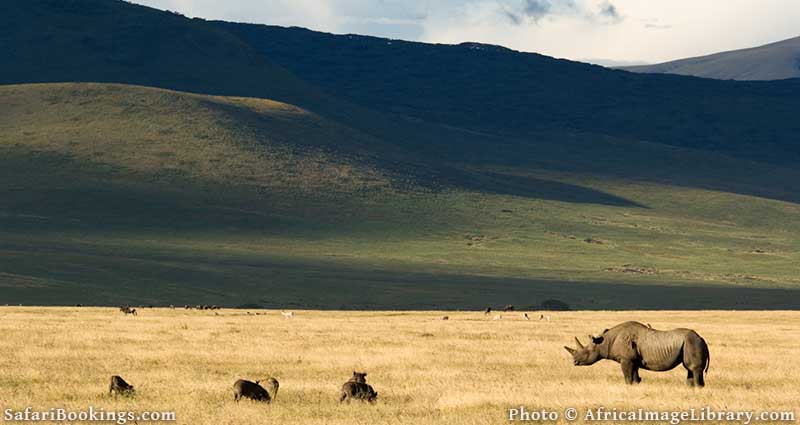 Ngorongoro Crater in Tanzania