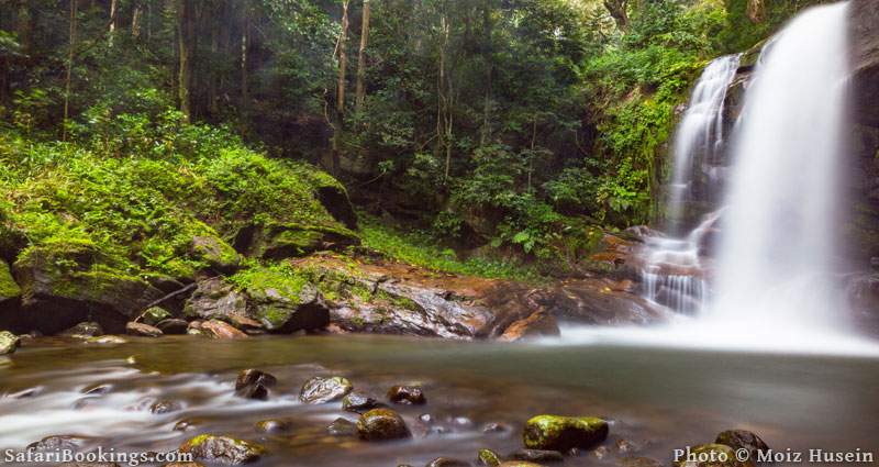 Waterfall in 2. Udzungwa Mountains National Park, Tanzania