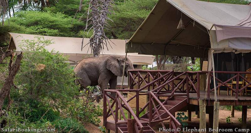 Best Kenya Safari Camp - Elephant Bedroom Camp