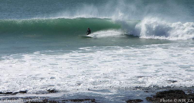 Surfing at J-Bay in South Africa