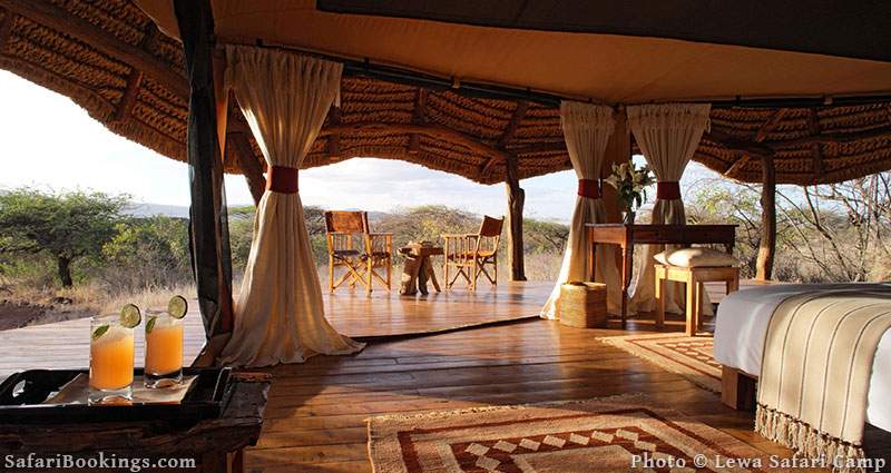 Best Kenya Safari Camp - Lewa Safari Camp