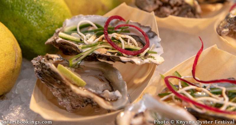 Oysters at the Knysna Oyster Festival