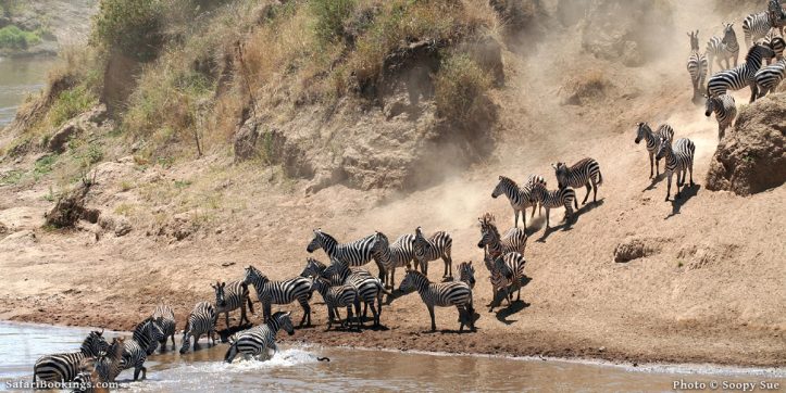 Top 10 Best Masai Mara Luxury Safari Lodges & Camps